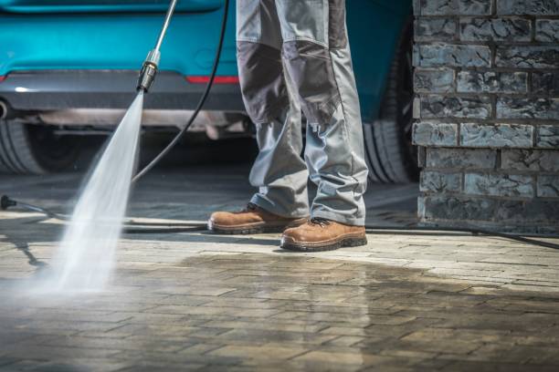 Best Winterizing Services  in Land O Lakes, FL