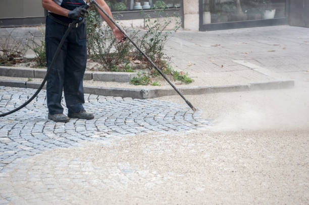 Best Graffiti Removal  in Land O Lakes, FL